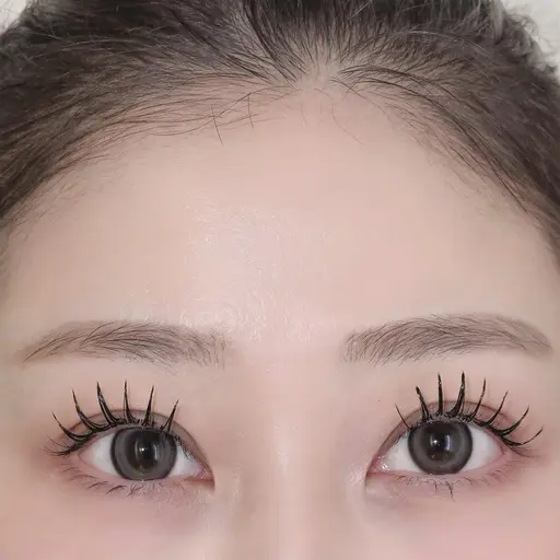 【🌵眉ワックスモデル🌵】募集！※補足説明を必ずご覧ください