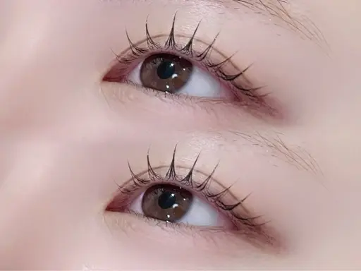 【本日限定メニュー⚜️】大人気!まつげパーマ🎀✨️
