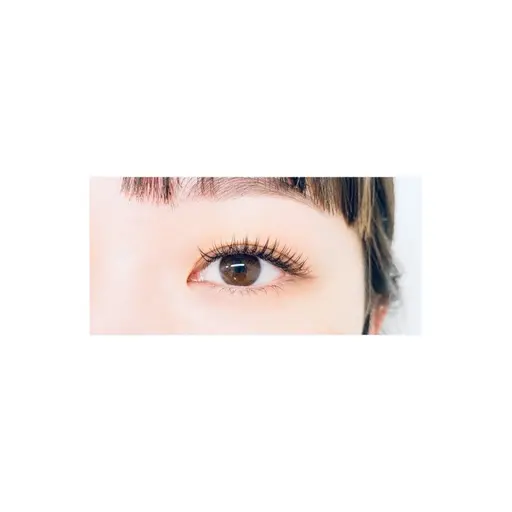 フラットラッシュまつ毛エクステ(上)🎀120本 束感コーティング付き