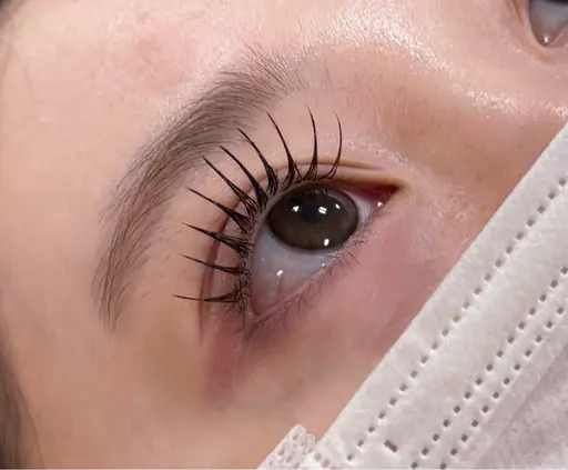 ✨セーブルラッシュ練習モデル✨ 160本まで