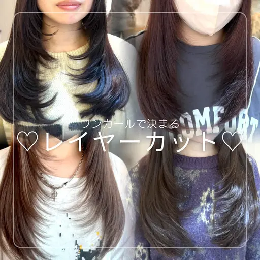 🌸当日限定🌸カット+カラー+《★★》髪質改善トリートメント
