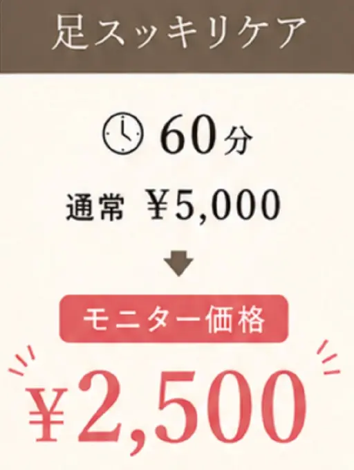 モニター価格 期間限定 足スッキリ (足洗浄、フットバス付)