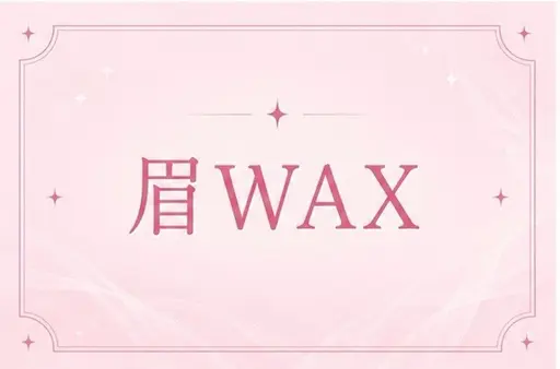 🐌［wax脱毛］眉カット込み🩶