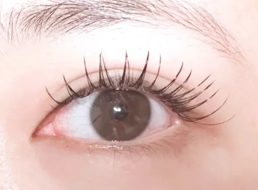 💕【フラットラッシュ】160本💕 コーティング付き　4000 現金のみ