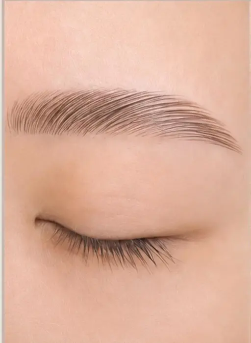 🩷🍩Hollywood brow 🍩🩷