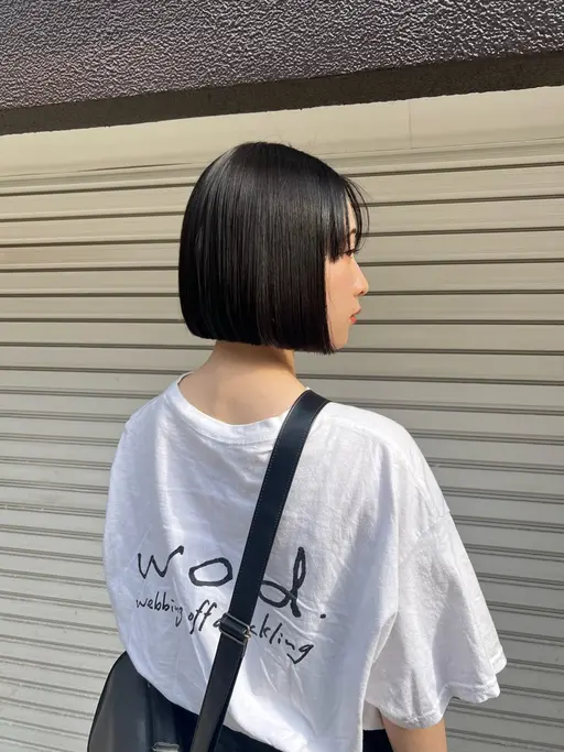 カットモデル