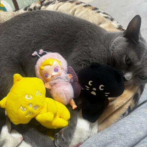 小顔似合わせカット➕保湿トリートメント♪