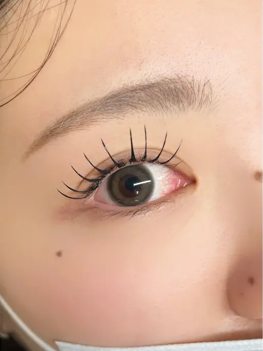 ✨️🦋LEDフラットラッシュ&ヘルシー🦋✨️『100本』『オフ無し』『付け足し無し』