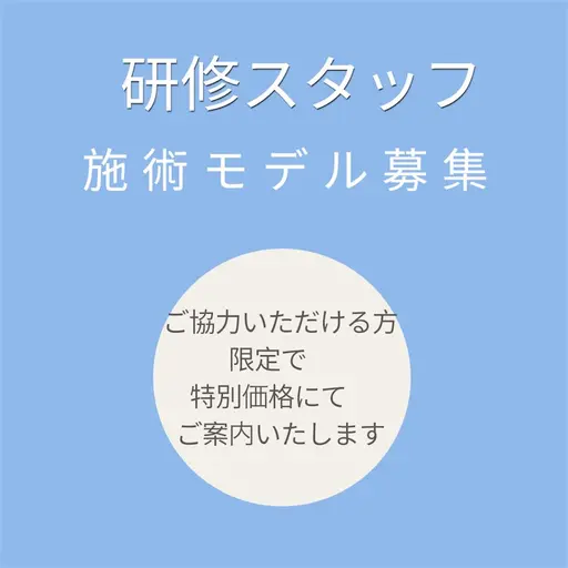 シアー ワンカラー (オフあり)