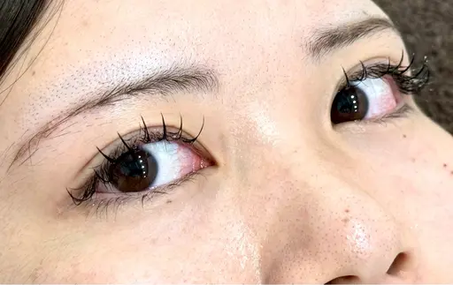 🆕LEDフラットラッシュ 100本