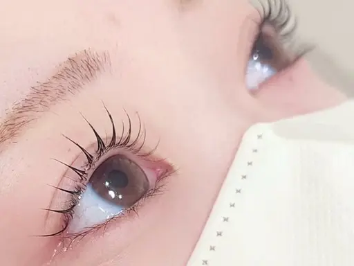 〈平日限定✨デビュー直前スタッフ担当✨〉選べる◎デザインまつ毛パーマ👀 美容成分配合TR付き✨