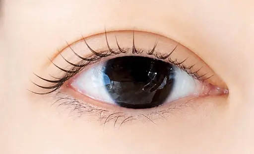 ブラックコーティング仕上げ💖オフなしラッシュリフト👀✨【上まつげパーマ】