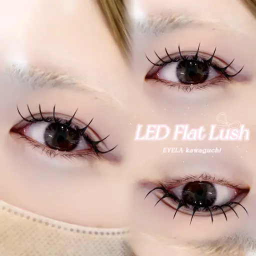 *.꒰ 9/26.27限定 ꒱.*高持続✰︎LEDエクステ130本までᢉ𐭩 ᩚ ‪[新規オフ無料]