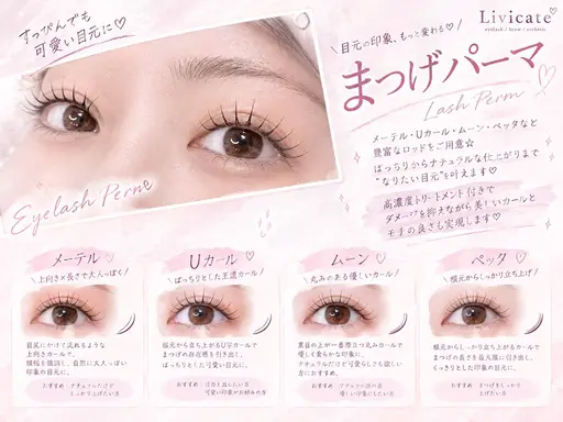 🌙🩶《大人可愛い目元に》メーテルラッシュリフト 🩶🌙ぱっちり×色気のある横長の超人気デザイン💎✨