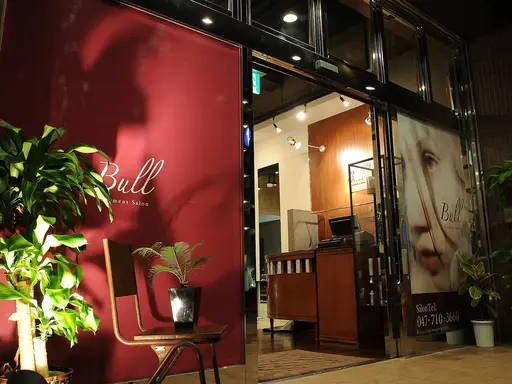 ClementSalonBull