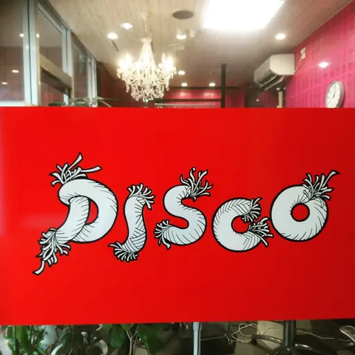 DISCOhairmake