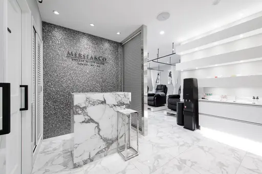 THE SALON -thea-