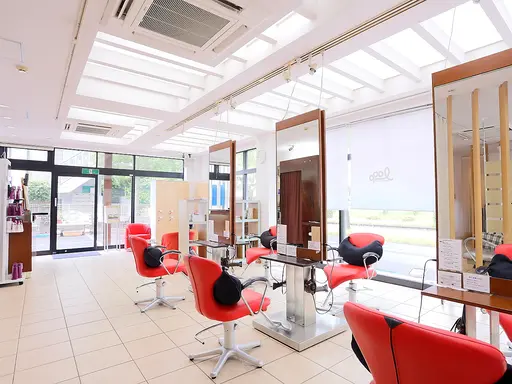 loop hair space