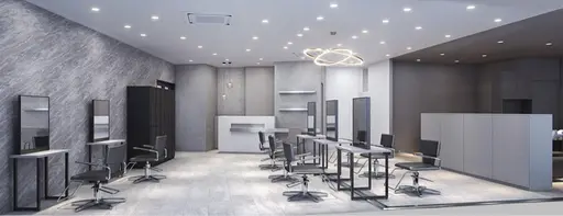 Luxs smart salon