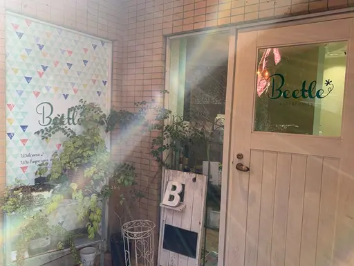 beetle hair beauty