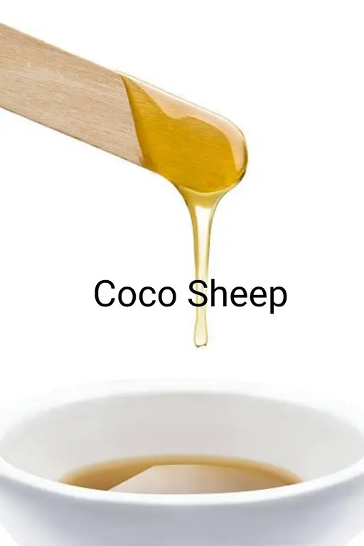 Coco Sheep