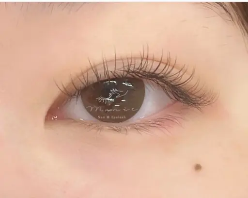 ⚠️マニエ加古川店での募集（4月20日） 🎀LED【セーブル140本】レッスンモデル募集✨補足説明閲覧必須⚠️オフ無料