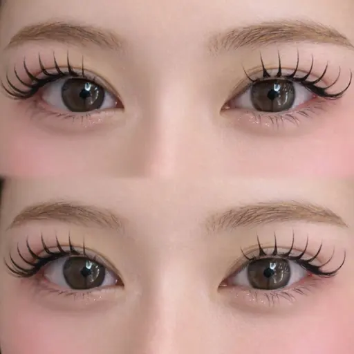 本日限定‼️🎀ダブルラッシュ100束🎀 新宿／マツエク/エクステ／ダブルラッシュ/ダブルフラット