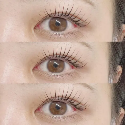 【特別価格🍒】パリジェンヌラッシュリフト¥1,000