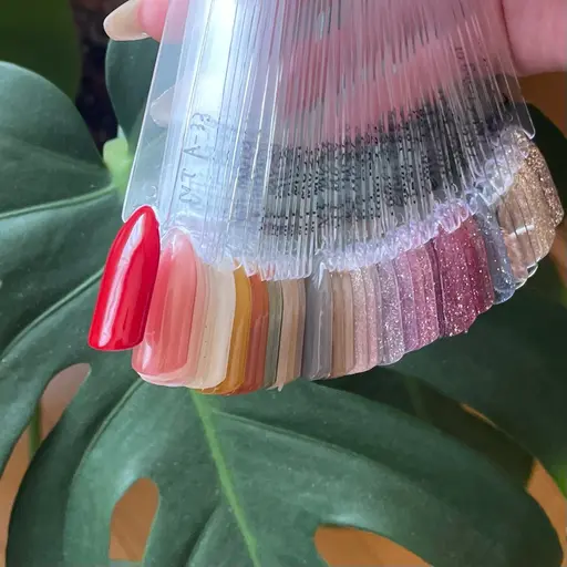 【ご新規様限定メニュー 🪽】オフ込みワンカラー