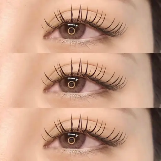 model｜flat volume lash 𝟤𝟦𝟢本