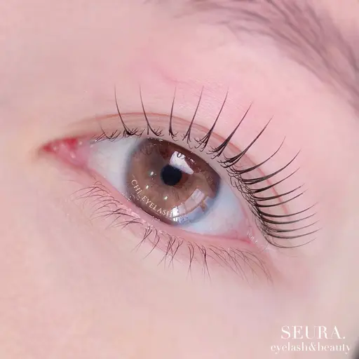 💗【平日限定クーポン✨】《人気No. 1》まつげパーマ(上)+3stepトリートメント付🎀