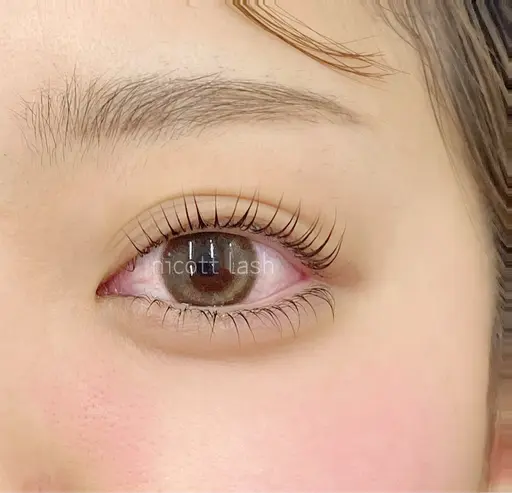 オフ無し･まつ毛パーマモデル募集🦙🌸⋆*注意事項必読･メッセージ返答後確定⚠️