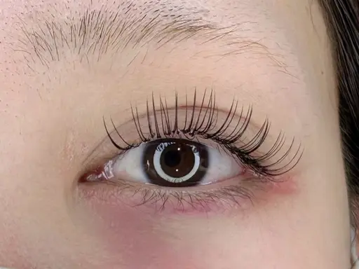 【キャンペーン価格】オフ込みフラットラッシュ🥣120本まで☆