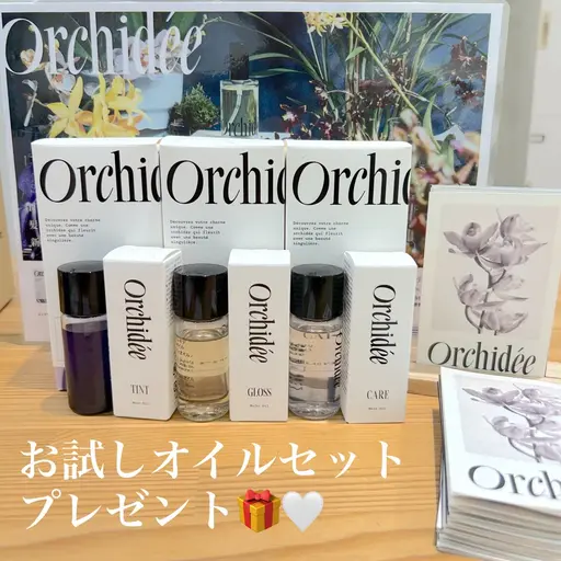 当日のご予約限定❕ワンカラー+お試しヘアオイルセットプレゼント🎀🎁