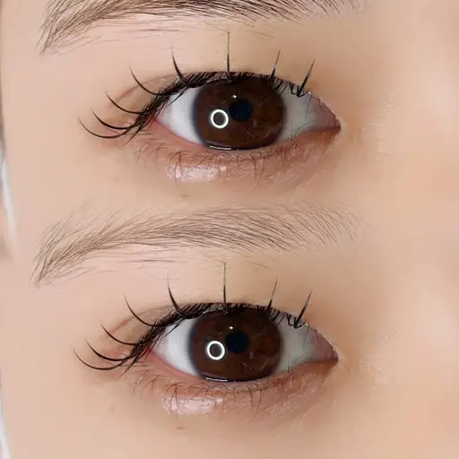 🌱フラットマットラッシュ100本まで🌱