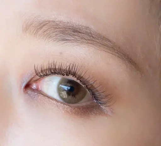 パーフェクトラッシュ160本