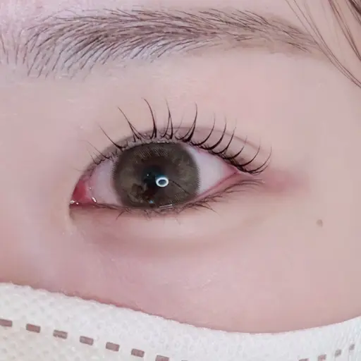 🎀モデル🎀 👀まつ毛パーマ    ⚠️お直し不可⚠️