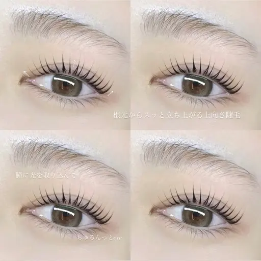 パリジェンヌorまつ毛パーマ(上下)エクステオフ無し