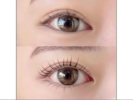 🌟存在感UP🌟上下まつ毛パーマ《コーティング仕上げ》