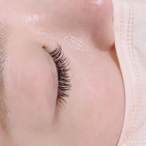 まつ毛エクステ フラットラッシュ 100本