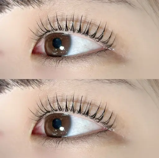 🇫🇷パリジェンヌラッシュリフト🇫🇷コーティング付き✨