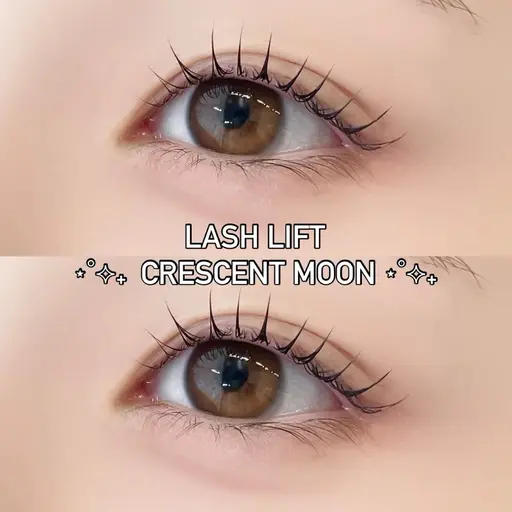 🎀4/21限定🎀《上下ラッシュリフトorパリジェンヌラッシュリフト》+コーティング付き🪄