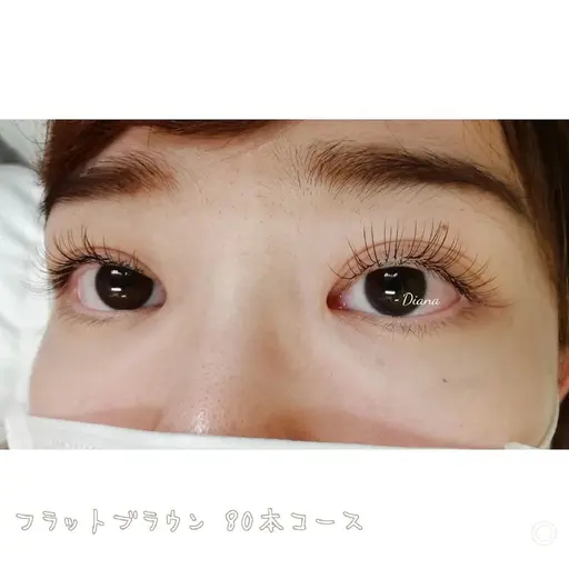 フラットラッシュ （軽い&長持ち) 上 80本まで【オフなし】