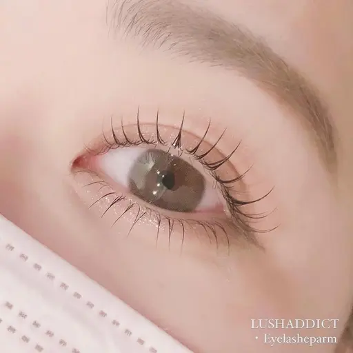 【まつげパーマorパリジェンヌ練習モデル】