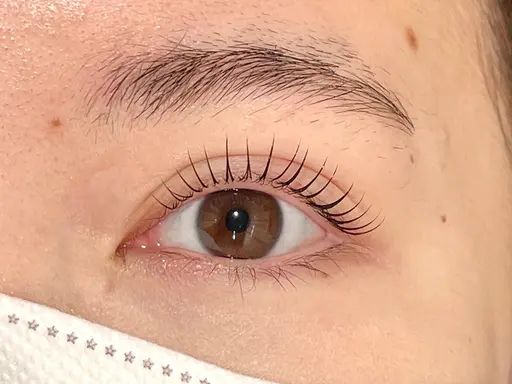 💟当日or平日限定💟束感ラッシュリフトorパリジェンヌラッシュリフト