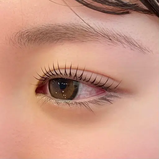 ラッシュリフト上