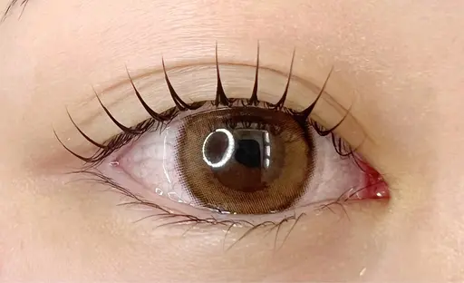 まつげパーマ（パリジェンヌも可）