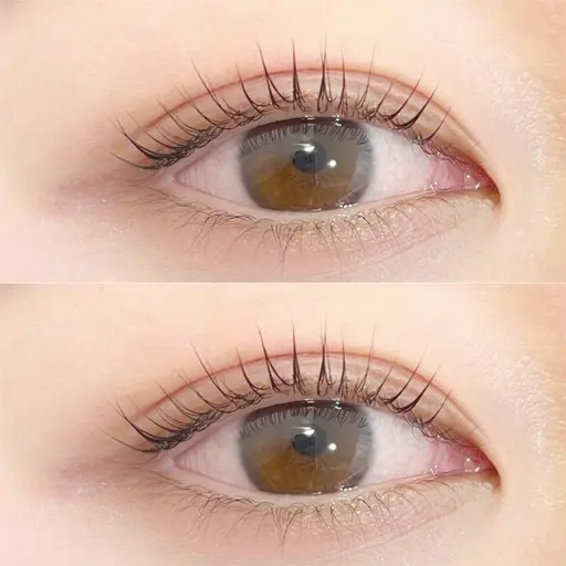 🌷✨️【次世代パーマ】上パリジェンヌラッシュリフト🌷✨️