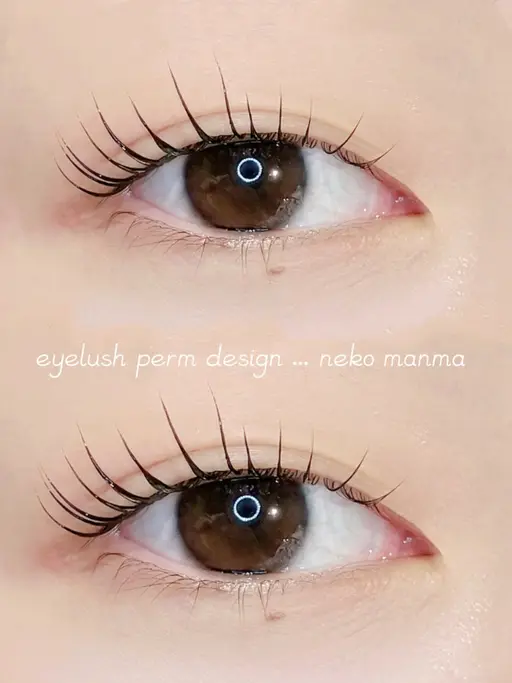 【初回限定】まつ毛パーマ(上)👀✨