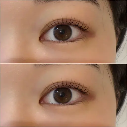 【🕊初回限定🕊】上まつげパーマ